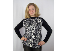 ������� ������� VS-06 (������)