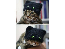 ��������������