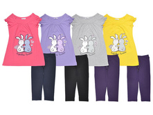 �������� ������� (������+������) FS9059