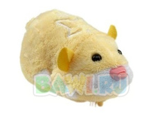 ����� ���� 270