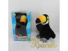 540 ����� 450