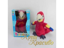 540 ����� 450