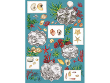 ENS 12 - ����. ���� 1,74 ���� �� 1 ����.jpg