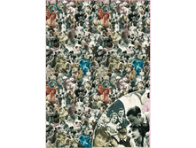 GIFT 05 - �������. ���� 1,55���� �� 1 ����.png