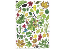 DE 02 - ������. ���� 1,74 ���� �� 1 �.png