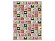 CAL F 062 - ��� �������. ���� 1,74 ���� �� 1 �.png