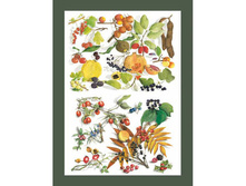 CAL F 065 - ������ �����. ���� 1,74 ���� �� 1 ��.jpg