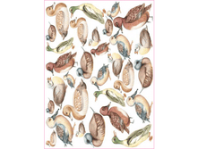 CAL F 118 - ���� ��������. ���� 1,74 ���� �� 1 �.png