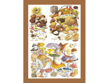 �AL F 066 - ����� �� �����. ���� 1,74 ���� �� 1 ��.jpg