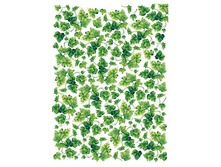 CAL 001 - ����������� ����.���� 1,45 ���� �� 1 �.jpg