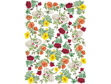 CAL 002 - ������� ����.���� 1,45 ���� �� 1 �.jpg