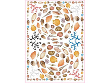 Easy 016  -  �������.���� 1,45 ���� �� 1 ����.jpg