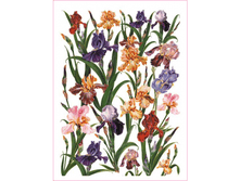 Easy 106 - �����.���� 1,45 ���� �� 1�.png