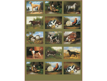 Easy 142 - �������� � ���������.���� 1,45 ���� �� 1�.png