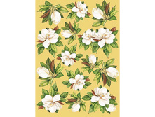 EASY 155  - �������� �� ������.���� 1,45 ���� �� 1 ����.jpg