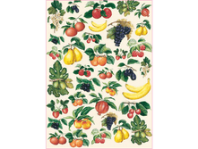 Easy 164 - ������.���� 1,45 ���� �� 1�.png