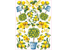 Easy 166 - �������� ������.���� 1,45 ���� �� 1�.png