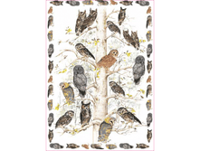 Easy 207 - ����.���� 1,45 ���� �� 1�.png