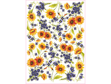 Easy 216 - ���������� � ������ �����.���� 1,45 ���� �� 1�.png