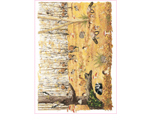 Easy 222 - ���.���� 1,45 ���� �� 1�.png