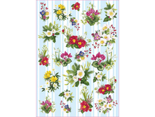 Easy 224 - ������ �����.���� 1,45 ���� �� 1�.png