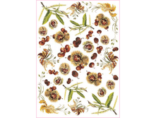 Easy 245 - �������.���� 1,45 ���� �� 1�.png