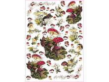 Easy 247 - �����������.���� 1,45 ���� �� 1�.png