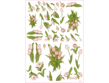 Easy 257 - ��������.���� 1,45 ���� �� 1�.png