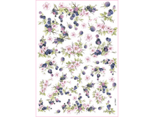 Easy 258 - �������.���� 1,45 ���� �� 1�.png