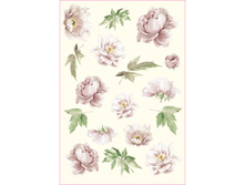 PAU 01 - ����� �������. ���� 1,68 ���� ��1�.png