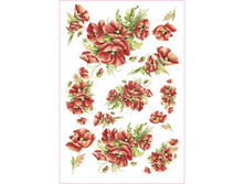 PAU 03 - ���� �������. ���� 1,68 ���� ��1�.png