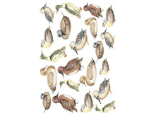 PAU 04 - ����.���� 1,68 ���� �� 1 �.jpg