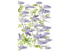 PAU 05 - ��������.���� 1,68 ���� �� 1 �.jpg