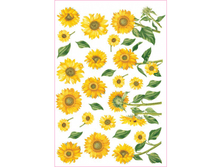 PAU 09 - ����������. ���� 1,68 ���� ��1�.png