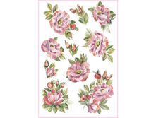 PAU 10 - �����. ���� 1,68 ���� ��1�.png