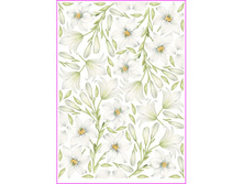 PAU 18 - ����� ��������.���� 1,68 ���� �� 1 �.jpg