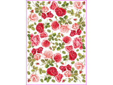 PAU 21 - ����.���� 1,68 ���� �� 1 �.jpg