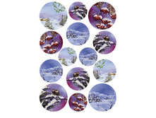 PAU 29 - ������ �������-����.���� 1,68 ���� �� 1 �.jpg