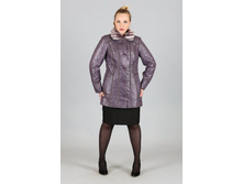 ������ 370, 2050�