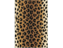 MSK 4 - ������. ���� 1,47 ���� �� 1�.gif