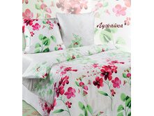 ������� �� ����������.jpg