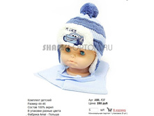 AML-137_250 ���.jpg