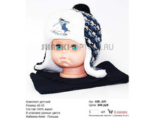 AML-A85_240 ���.jpg