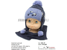 AML-H9_310 ���.jpg