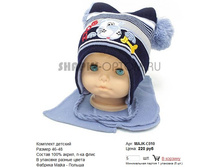 MAJK-C010_220 ���.jpg