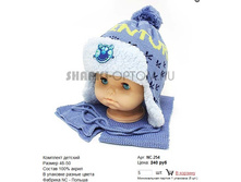 NC-254_240 ���.jpg