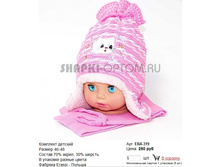 ERA-319_250 ���.jpg