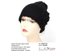 KAM-R-039_100 ���.jpg