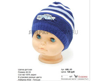 AML-H5_120 ���.jpg