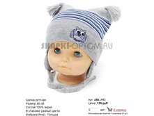 AML-H13_130 ���.jpg